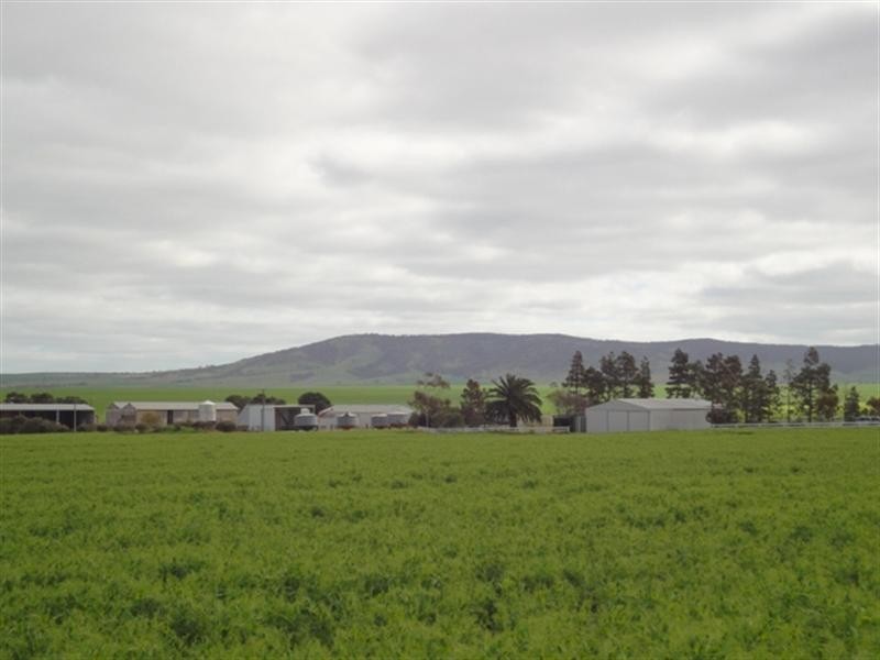 3 Lots “Baldina”, South Hummocks SA 5550