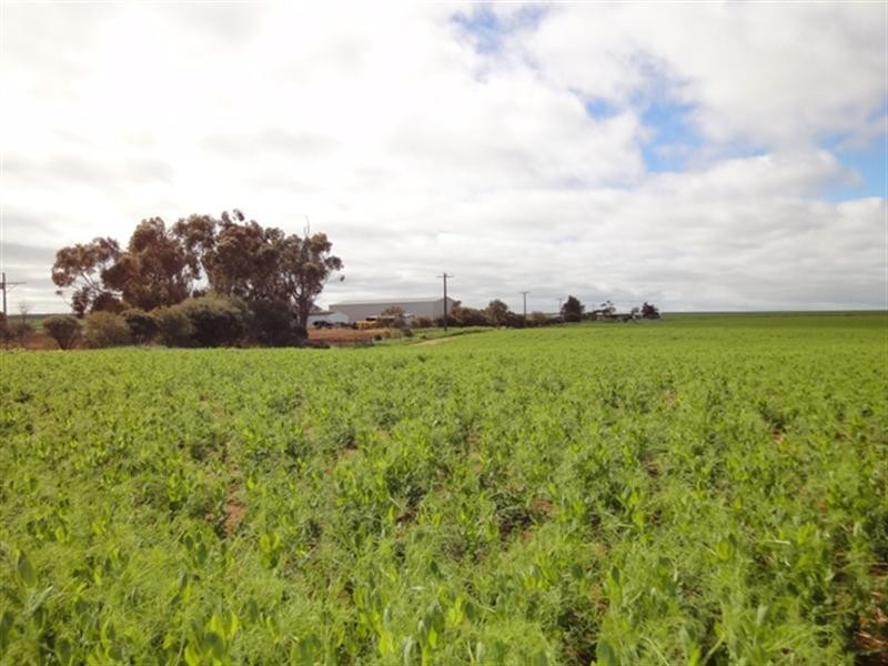 3 Lots “Baldina”, South Hummocks SA 5550