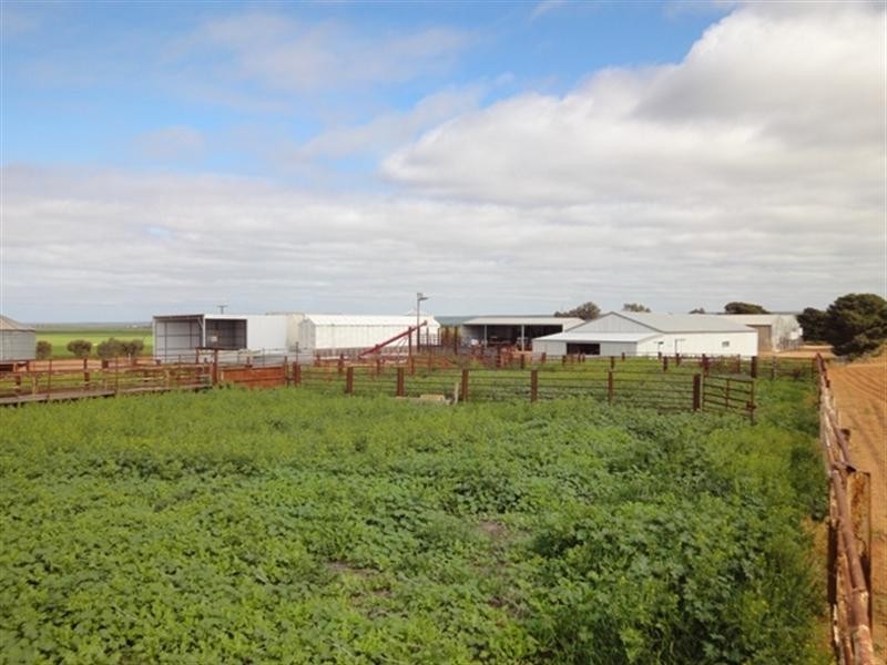 3 Lots “Baldina”, South Hummocks SA 5550
