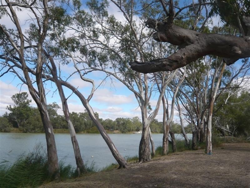 Lot 32 Murbko Road, Morgan SA 5320