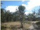 Lot 32 Murbko Road, Morgan SA 5320