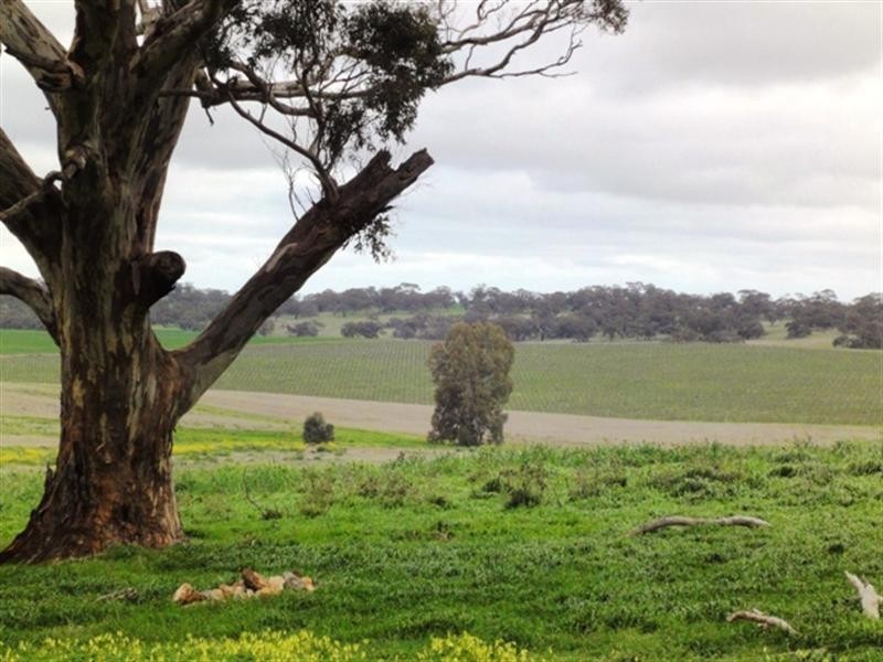 Sec 433 Schober Road, Auburn SA 5451