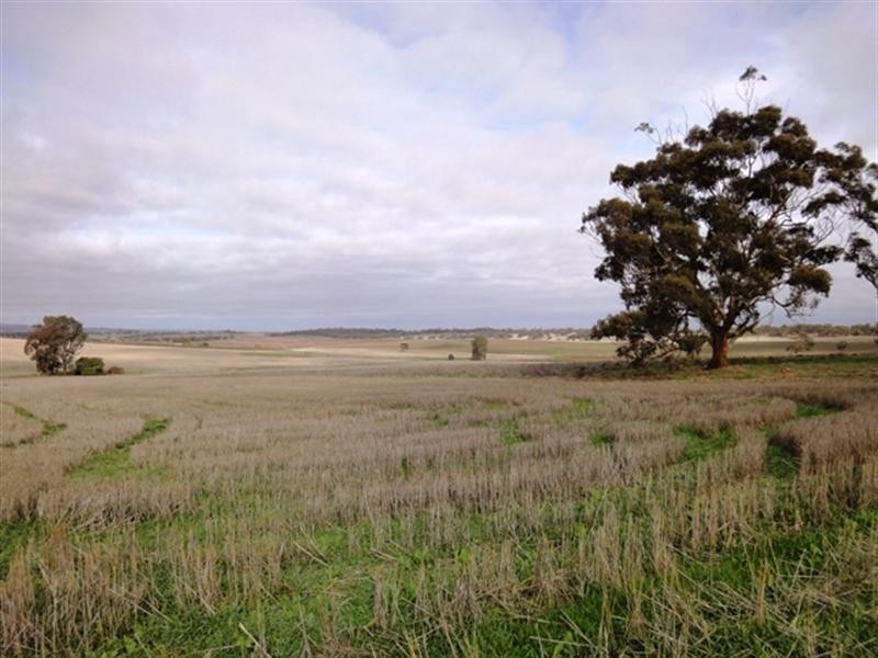 Sec 433 Schober Road, Auburn SA 5451