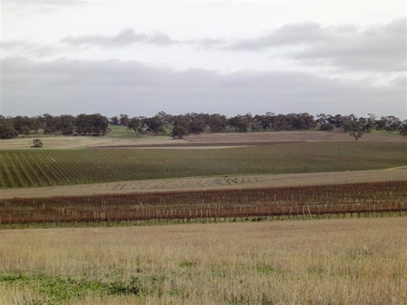 Sec 433 Schober Road, Auburn SA 5451