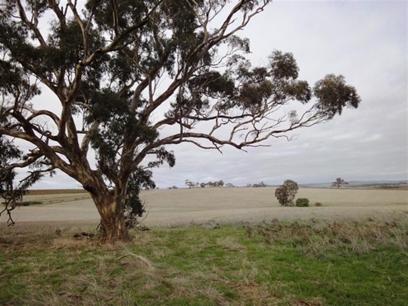 Sec 433 Schober Road, Auburn SA 5451