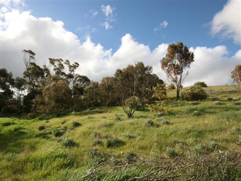 Lots 337/338 Ayres Street, Burra SA 5417