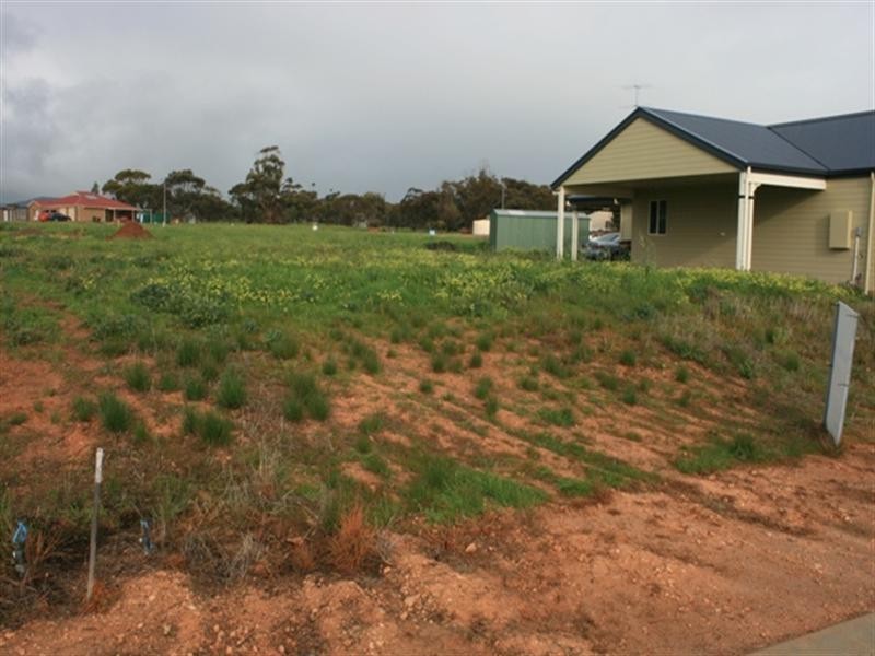 Lot 103 JS McEwin Terrace, Blyth SA 5462