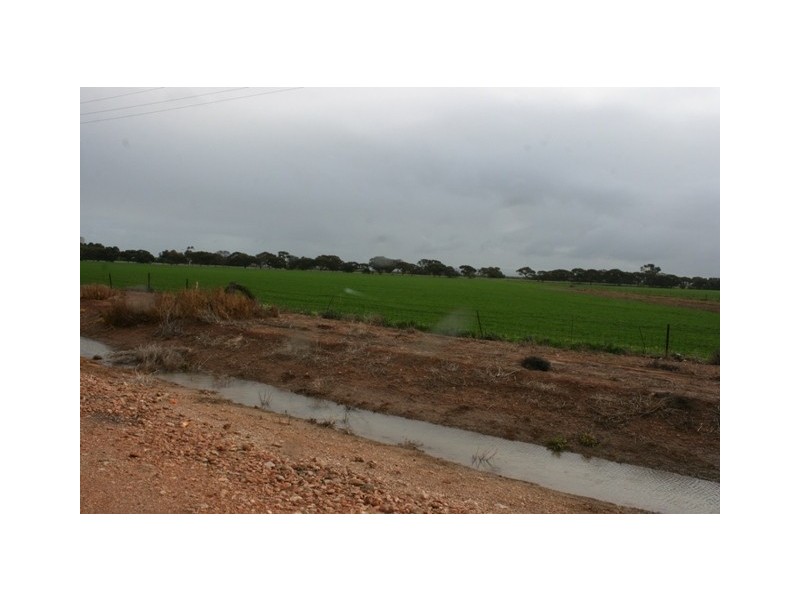 Lot 119 JS McEwin Terrace, Blyth SA 5462