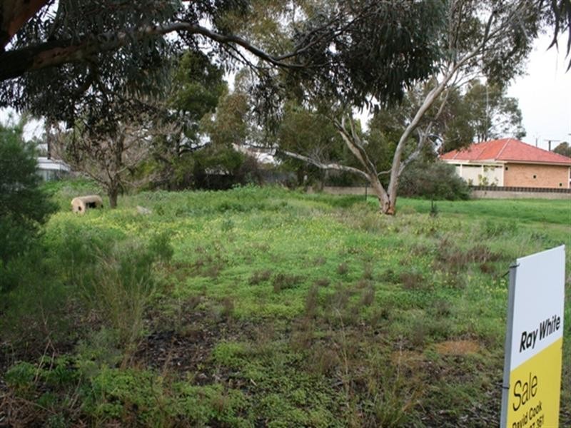 4 Harley Street, Blyth SA 5462