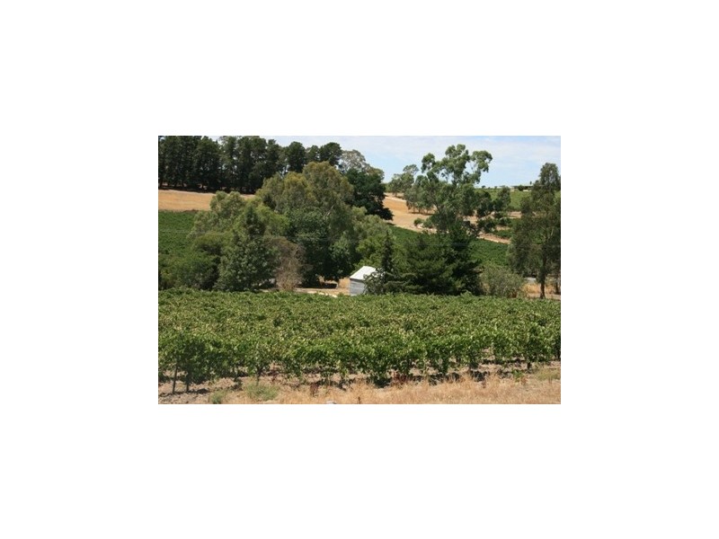 Lot 1 Main North Road, Penwortham SA 5453