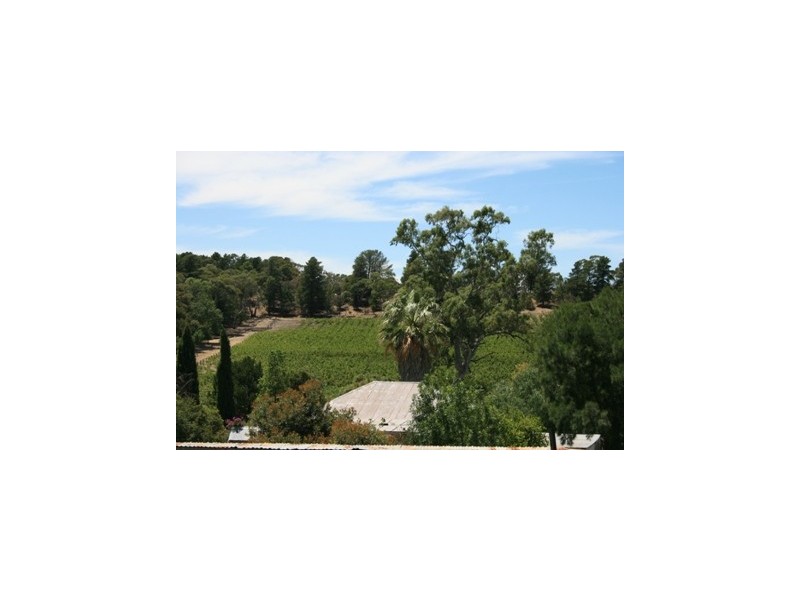 Lot 1 Main North Road, Penwortham SA 5453