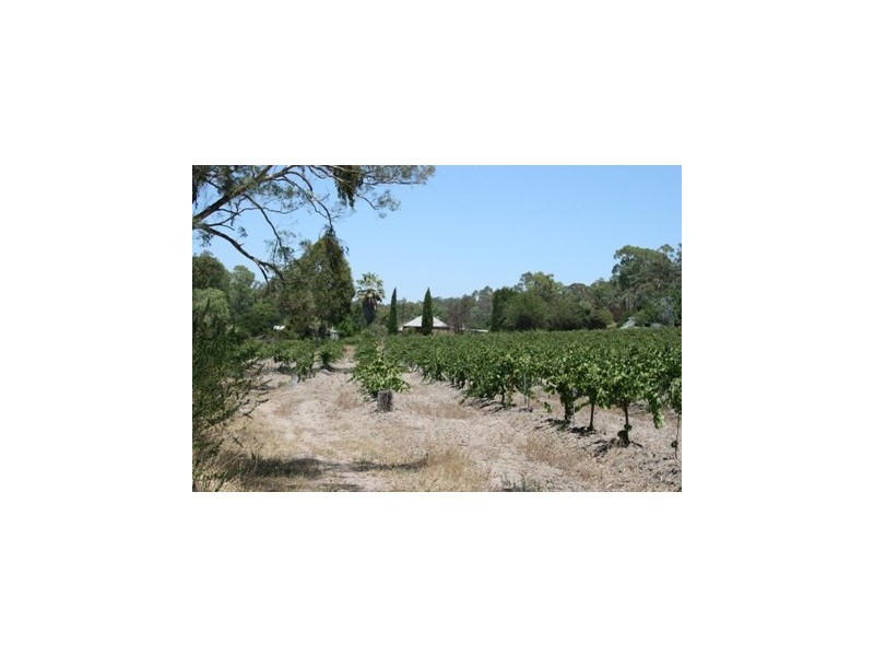 Lot 1 Main North Road, Penwortham SA 5453