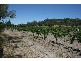 Lot 1 Main North Road, Penwortham SA 5453