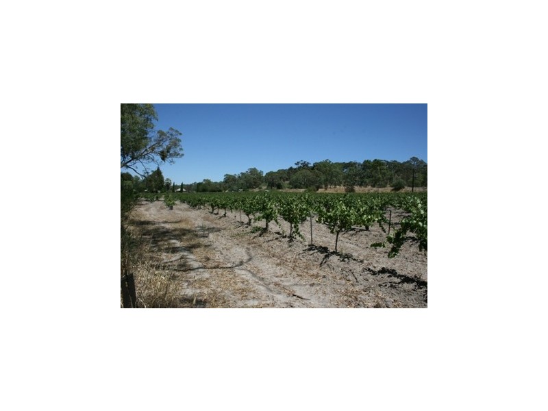 Lot 1 Main North Road, Penwortham SA 5453