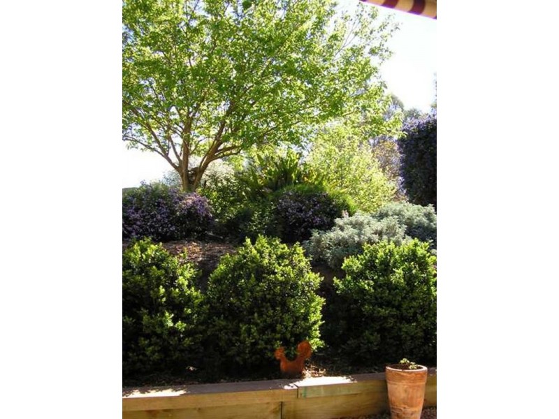 Lot 10 Main North Road, Watervale SA 5452