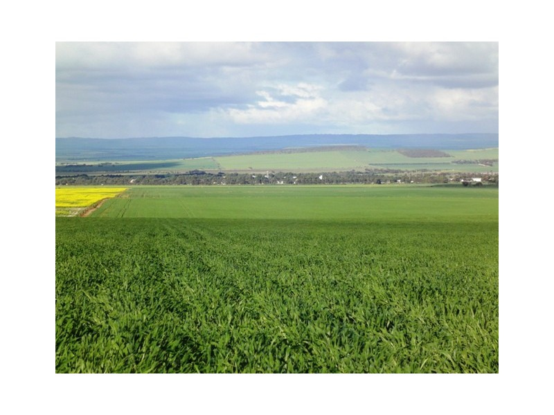 “Kriegfields” Shadwell Gap Road, Snowtown SA 5520