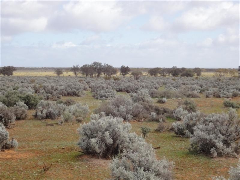 Various Secs “Haylands West”, Blanchetown SA 5357