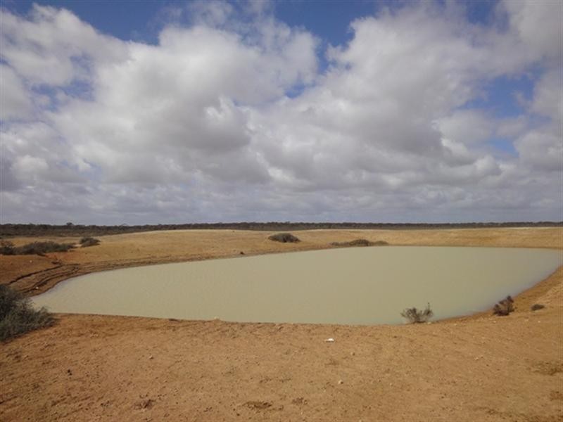 Various Secs “Haylands West”, Blanchetown SA 5357