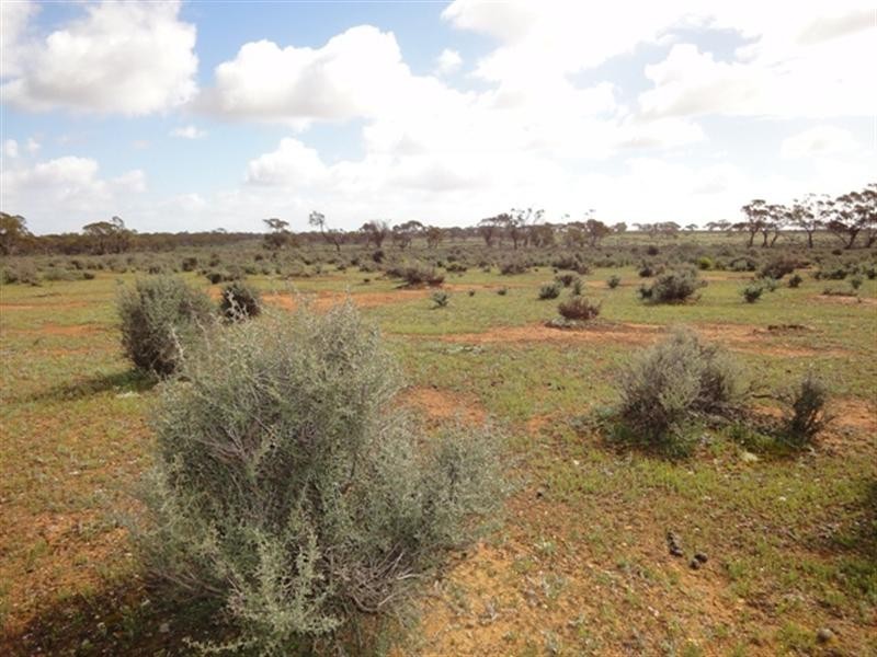 Various Secs “Haylands West”, Blanchetown SA 5357