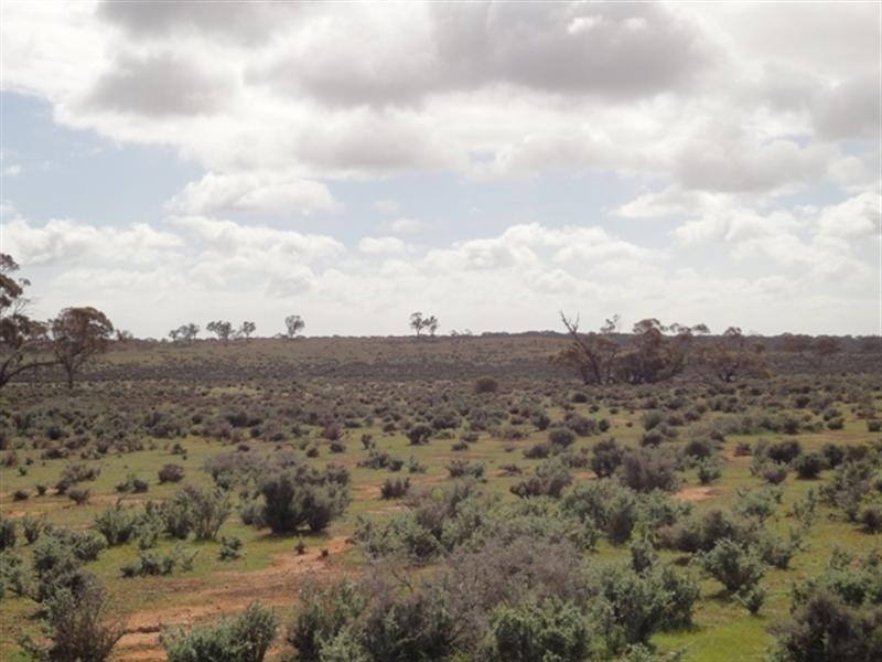 Various Secs “Haylands West”, Blanchetown SA 5357