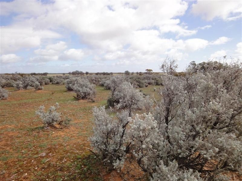 Various Secs “Haylands West”, Blanchetown SA 5357