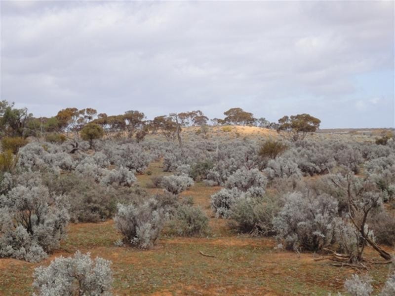 Various Secs “Haylands West”, Blanchetown SA 5357