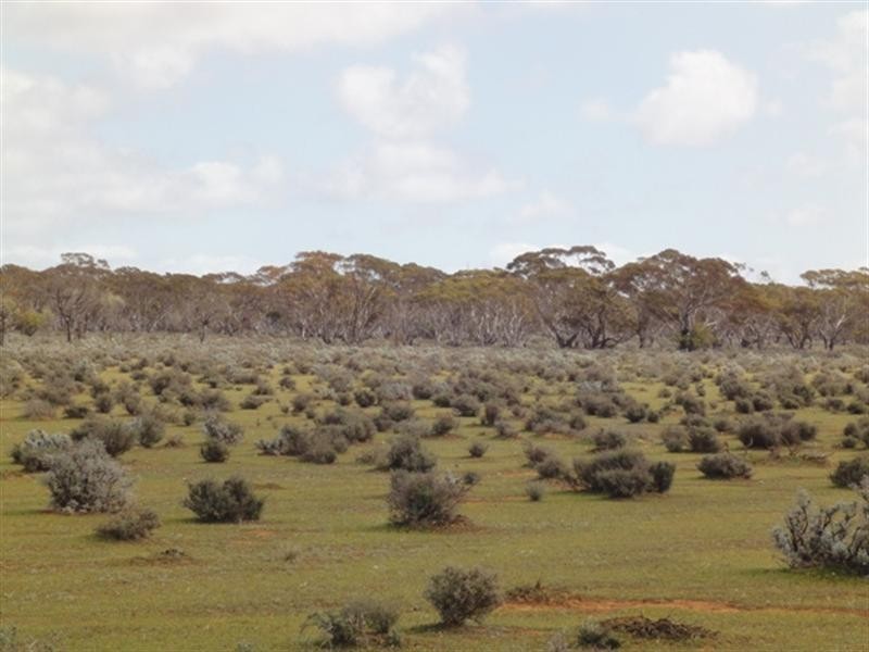 Various Secs “Haylands West”, Blanchetown SA 5357