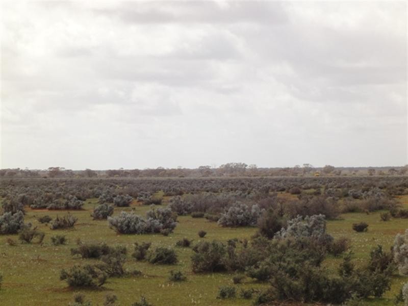 Various Secs “Haylands West”, Blanchetown SA 5357