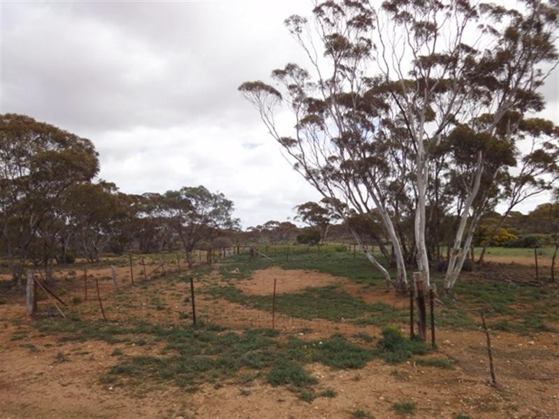 Various Secs “Haylands West”, Blanchetown SA 5357