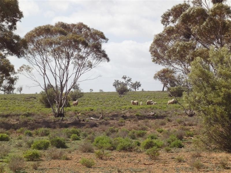 Various Secs “Haylands West”, Blanchetown SA 5357