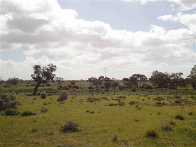 Various Secs “Haylands West”, Blanchetown SA 5357