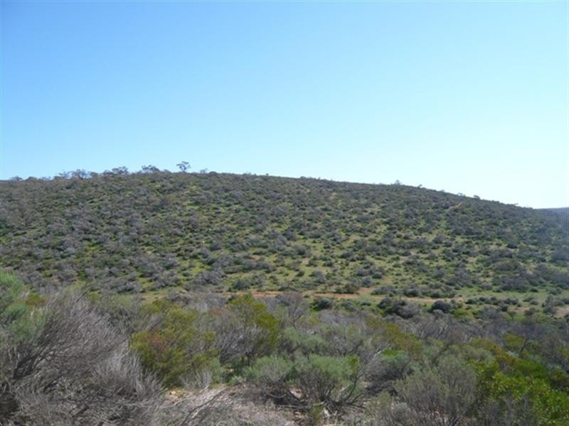 “Pohlners” and “Lily Whytes”, Mount Bryan East SA 5419