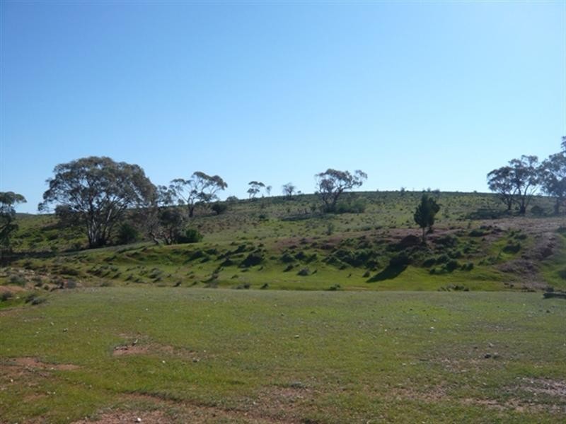 “Pohlners” and “Lily Whytes”, Mount Bryan East SA 5419