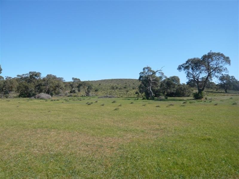 “Pohlners” and “Lily Whytes”, Mount Bryan East SA 5419