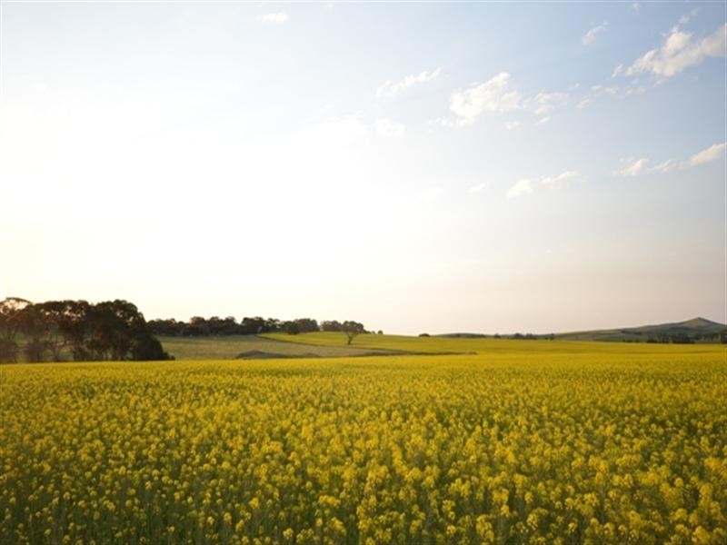 ”The Ridge” Barrier Highway, Manoora SA 5414