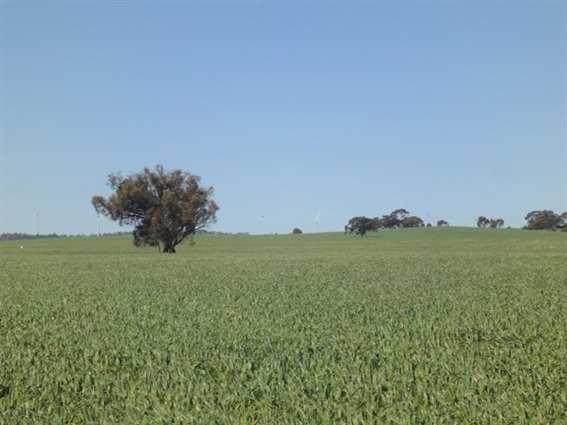 ”The Ridge” Barrier Highway, Manoora SA 5414