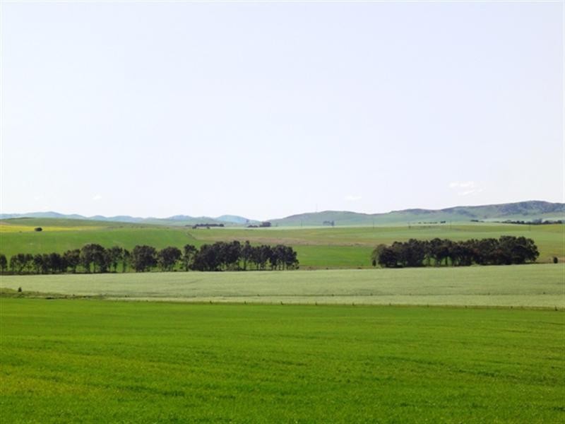 ”The Ridge” Barrier Highway, Manoora SA 5414