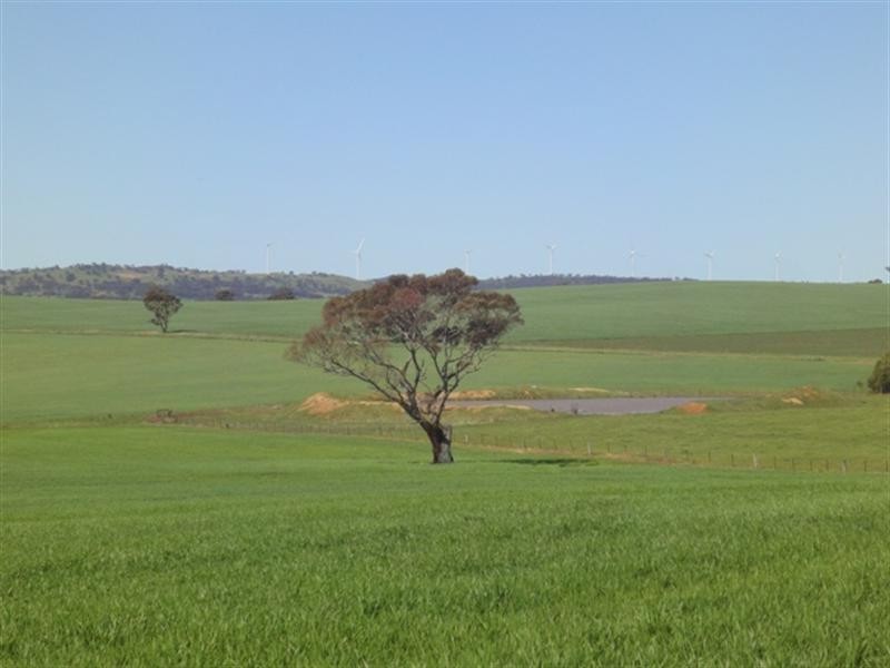 ”The Ridge” Barrier Highway, Manoora SA 5414