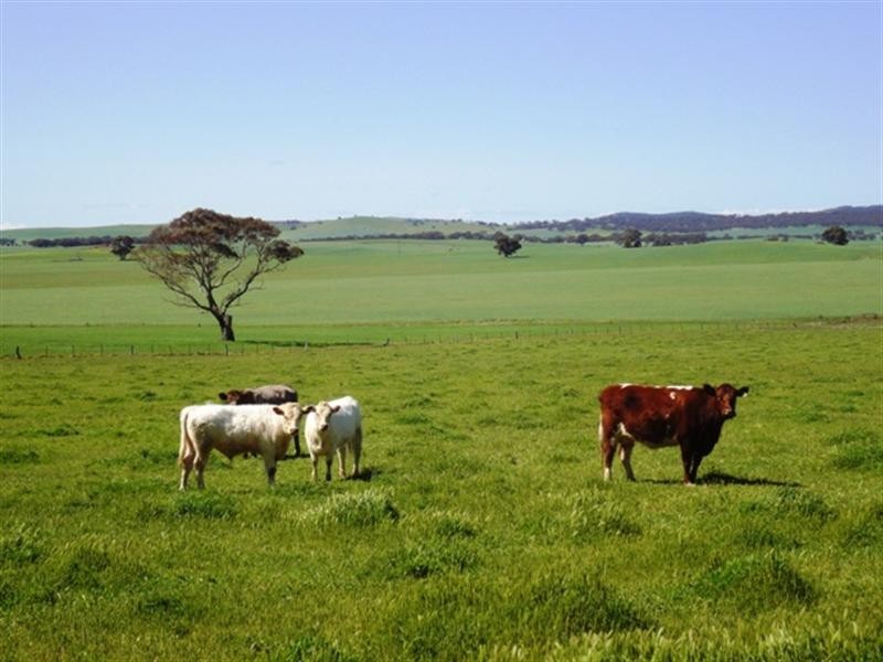 ”The Ridge” Barrier Highway, Manoora SA 5414