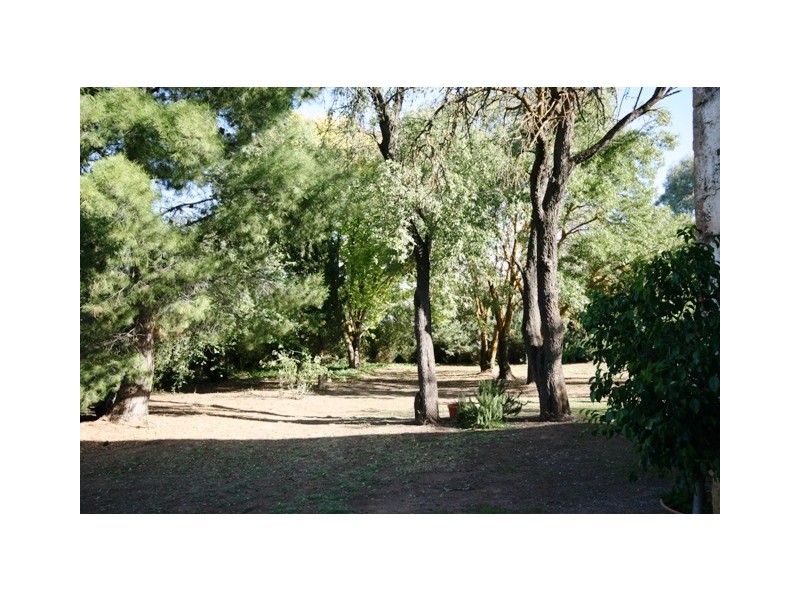 Lot 15 Leasingham Road, Mintaro SA 5415