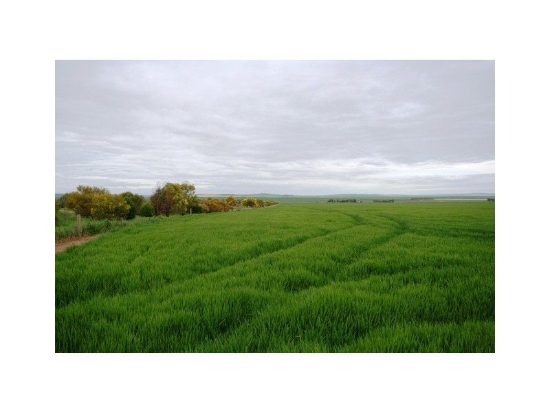 “Bancona” Whitings North Road, Barunga Gap SA 5520