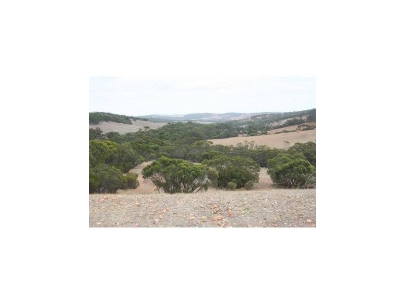 Pt Sec 346 Hundred of Mann, Cleve SA 5640