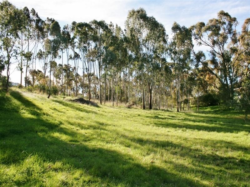 Lots 1 – 4 High Street, Armagh SA 5453