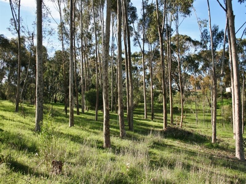 Lots 1 – 4 High Street, Armagh SA 5453