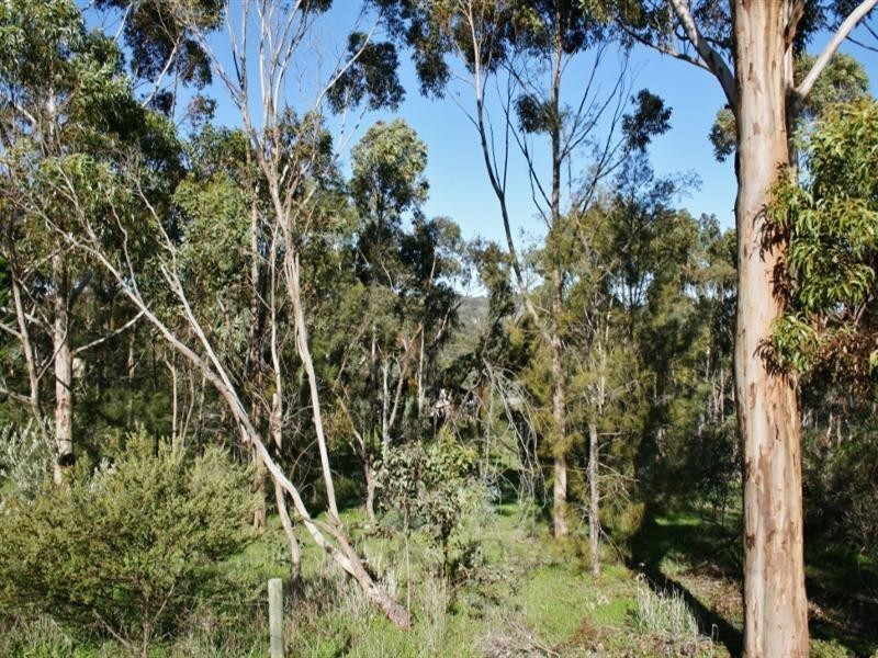 Lots 1 – 4 High Street, Armagh SA 5453