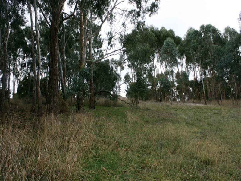 Lots 1 – 4 High Street, Armagh SA 5453