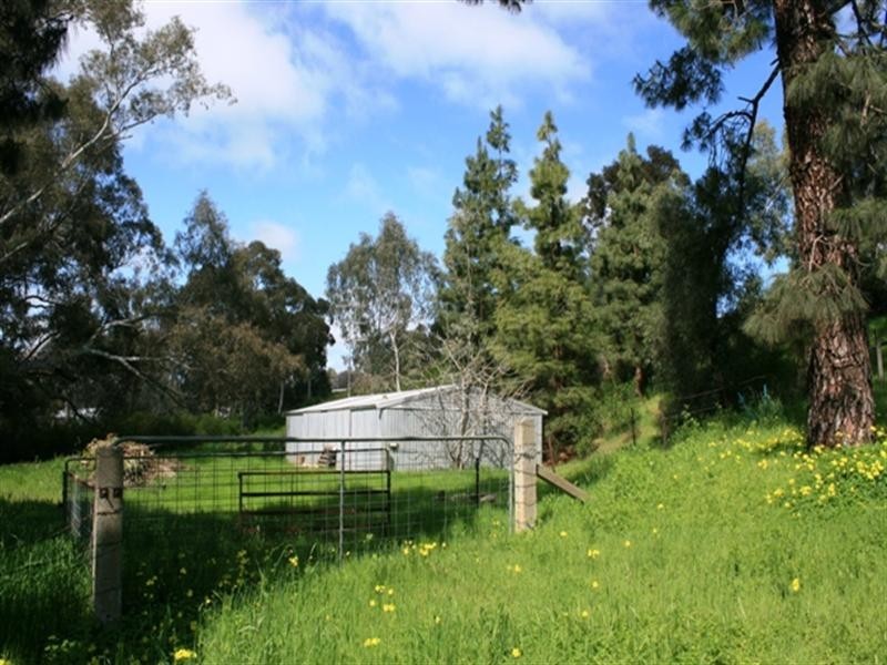 Lots 4,5,6 Strickland Street, Clare SA 5453