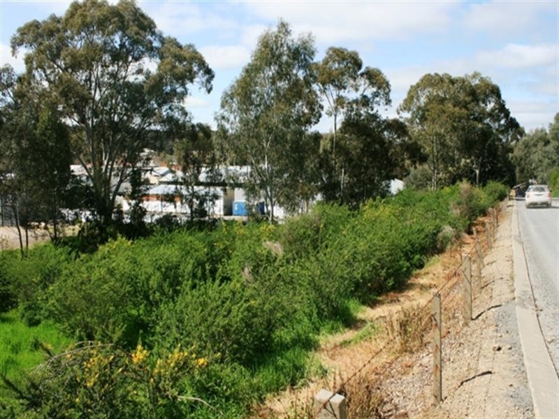 Lots 4,5,6 Strickland Street, Clare SA 5453