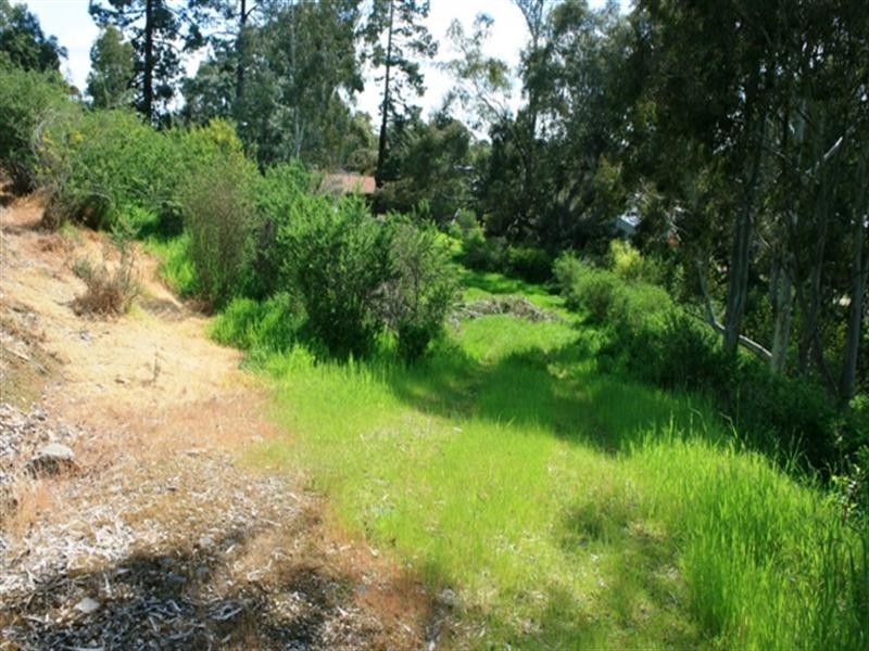 Lots 4,5,6 Strickland Street, Clare SA 5453