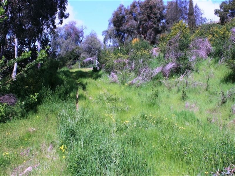 Lots 4,5,6 Strickland Street, Clare SA 5453